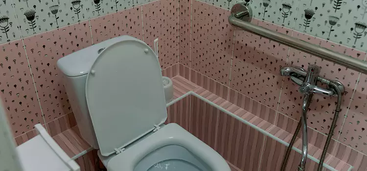Meeting Diverse Needs With Accessible Restroom Solutions in Port Hueneme, CA