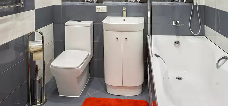 Hansgrohe Shaving Mirror Port Hueneme